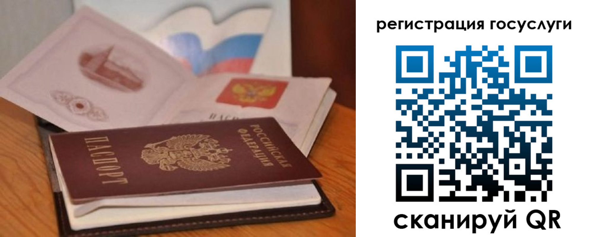прописка законно в Фролово